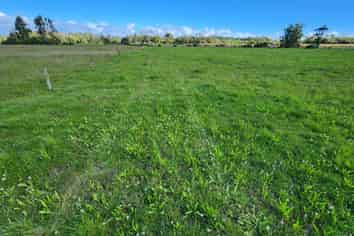 455 Surrey Road, Tariki