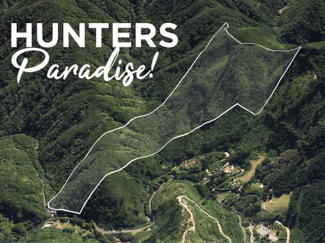  Akatarawa Road, Brown Owl