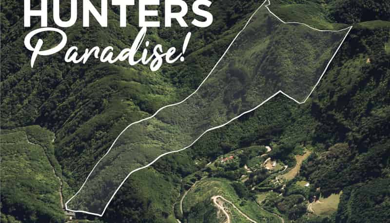  Akatarawa Road, Brown Owl