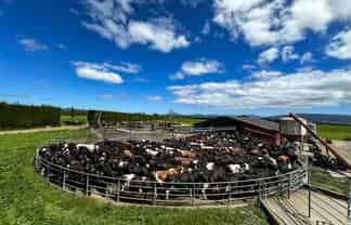 132 Guise Road, Aparima