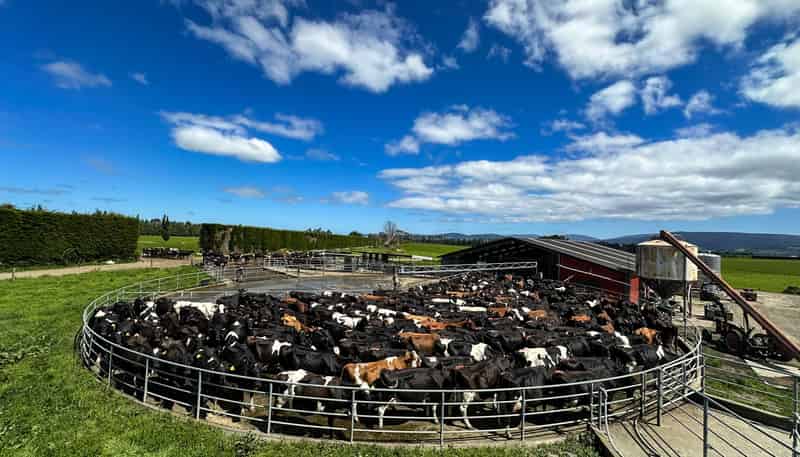 132 Guise Road, Aparima