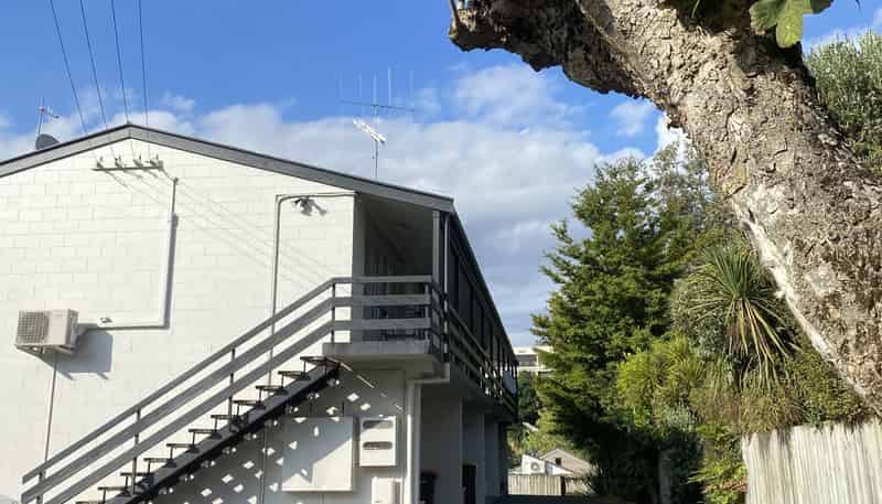 2/17 Opoia Road, Claudelands