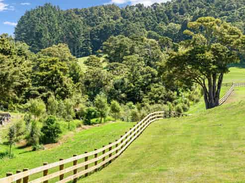 Lots 1-22 Kukupa Rise, Ngararatunua