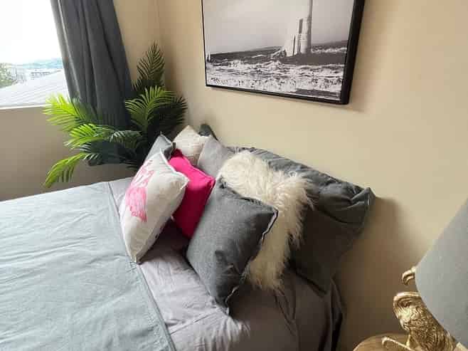 3 Serpentine Avenue, Dunedin Central