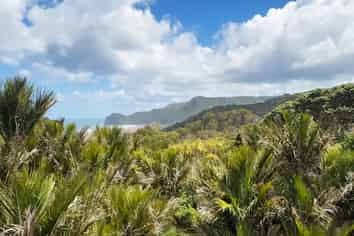17 Rayner Road, Piha
