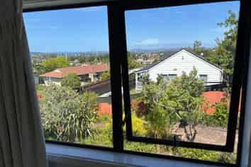 19 Raelene Place, Massey