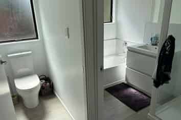 19 Raelene Place, Massey