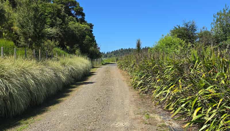 496 Wainui Road, Whakatane Surrounds