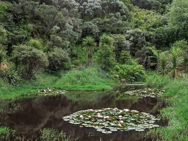 496 Wainui Road, Whakatane Surrounds