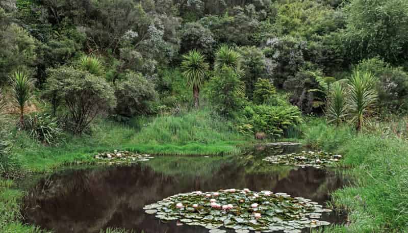 496 Wainui Road, Whakatane Surrounds
