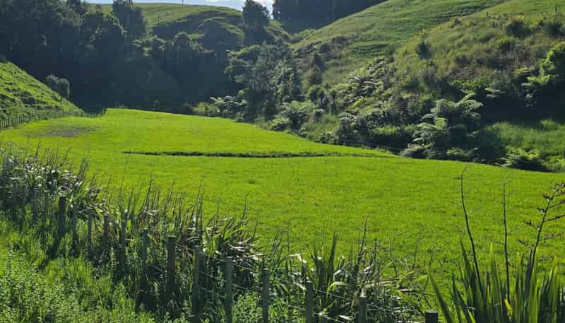 496 Wainui Road, Whakatane Surrounds