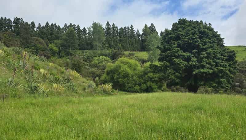496 Wainui Road, Whakatane Surrounds