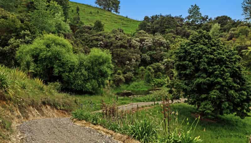 496 Wainui Road, Whakatane Surrounds