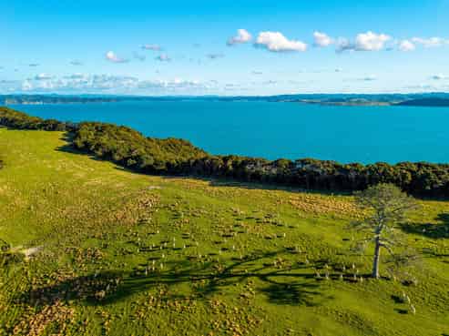 Share 18 Moturoa Island, Russell