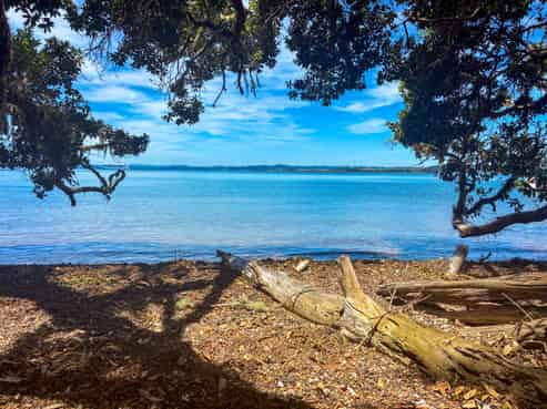 Share 18 Moturoa Island, Russell