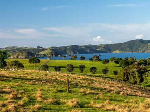 Share 18 Moturoa Island, Russell