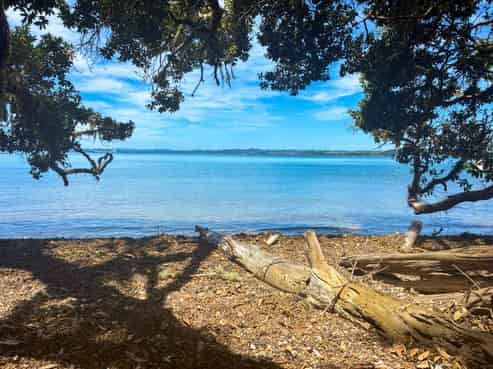 Share 18 Moturoa Island, Russell