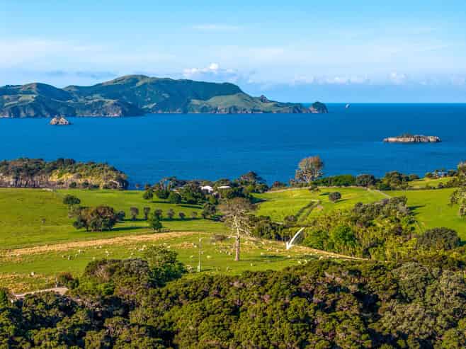 Share 18 Moturoa Island, Russell