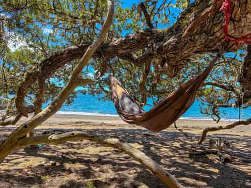 Share 2 Moturoa Island, Russell