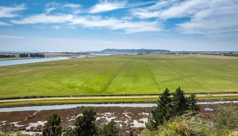 64a Nilgiri Road, Poraiti