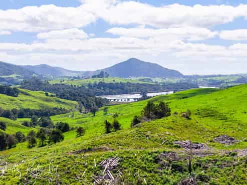 128 Kamea Place, Maungaturoto