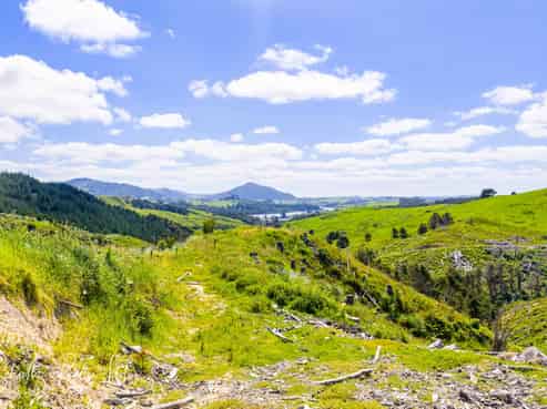 128 Kamea Place, Maungaturoto