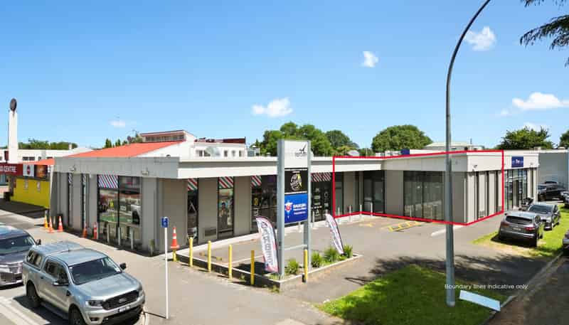 2/25 Te Aroha Street East, Hamilton East