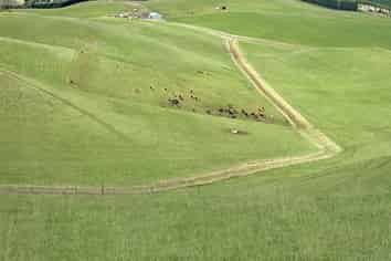  Finlays Road, Windsor