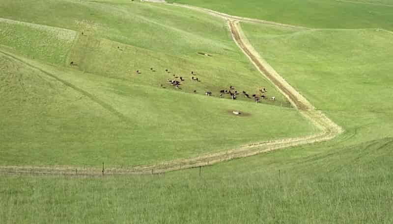  Finlays Road, Windsor