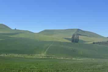  Finlays Road, Windsor