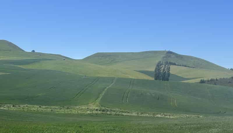  Finlays Road, Windsor