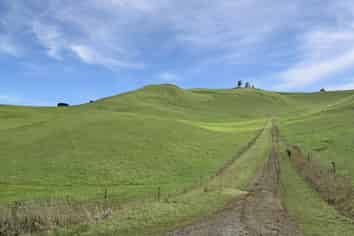  Finlays Road, Windsor