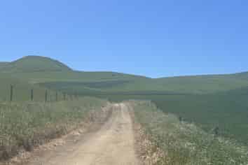  Finlays Road, Windsor