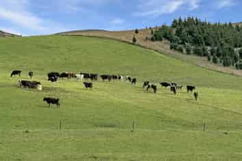  Finlays Road, Windsor