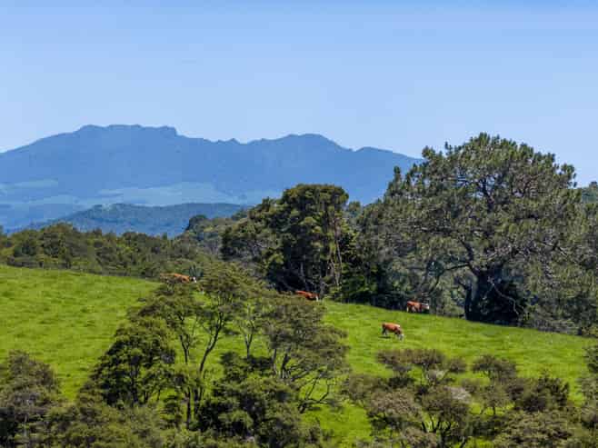185 Waingaro Landing Road, Raglan