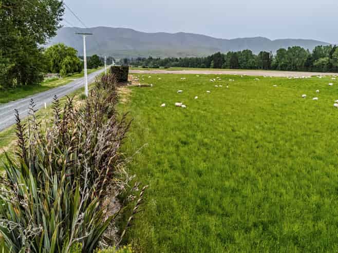  School Road, Fairlie