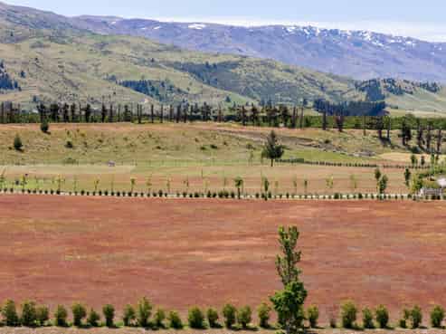 8 Mason Lane, Cromwell