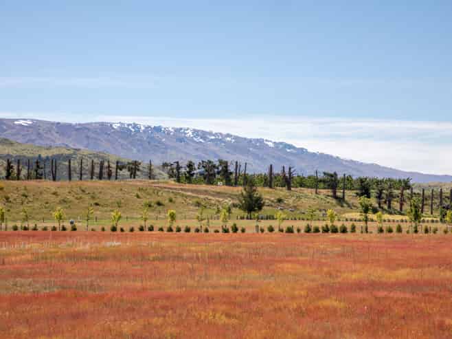 8 Mason Lane, Cromwell