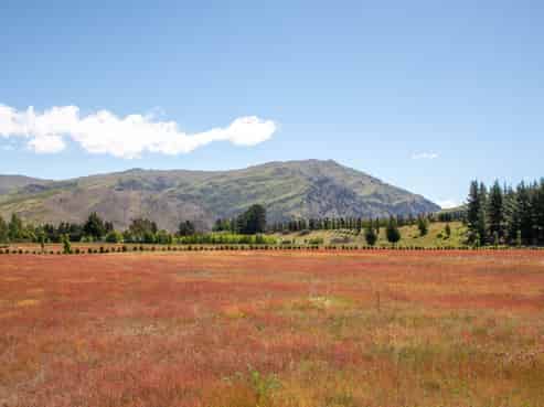 8 Mason Lane, Cromwell