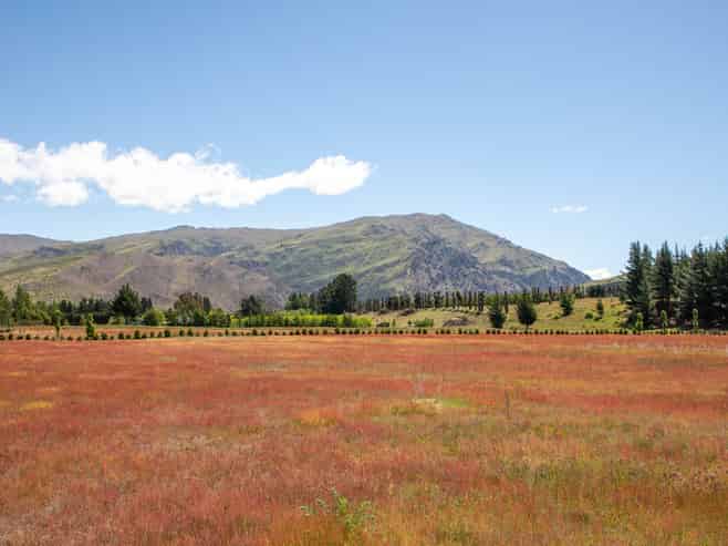 8 Mason Lane, Cromwell