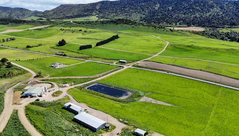 1024 Owaka Valley Road, Owaka