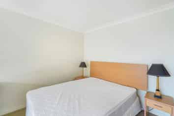 3E/118 Gladstone Road, Parnell