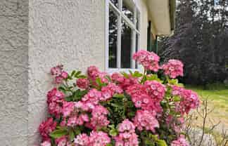 16 Whitehaven Street, Lawrence