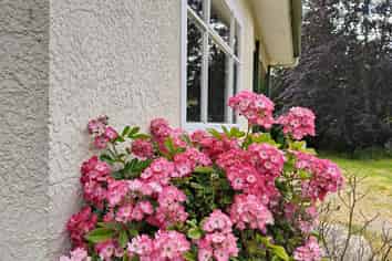 16 Whitehaven Street, Lawrence