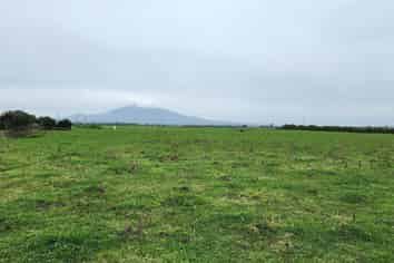 2585 South Road, Manaia