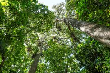 249 Te Ahu ahu Road, Kerikeri