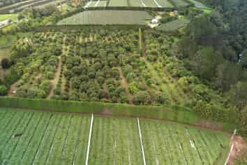 400 Te Matai Road, Te Puke