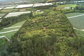 400 Te Matai Road, Te Puke