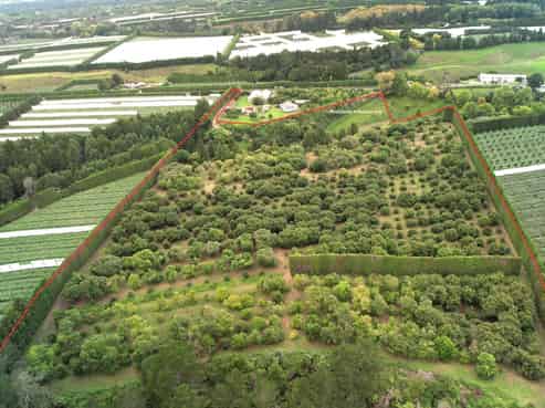 400 Te Matai Road, Te Puke