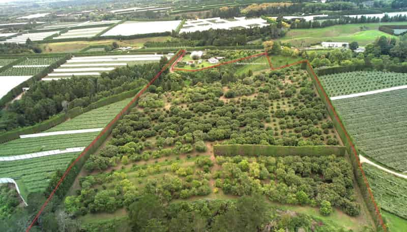 400 Te Matai Road, Te Puke